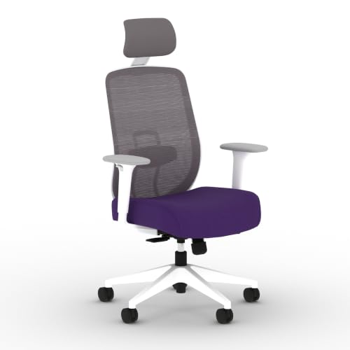 Image of HON Altern Ergonomic Office Chair, Office Desk Computer Chair, Iris