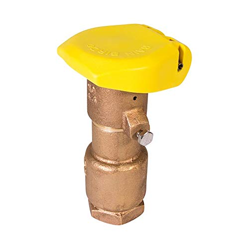 Rain Bird QCV Two Piece Quick Coupling Valve 1 in. x 3/4 in. | 44RC