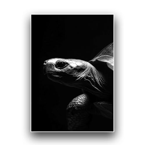 Affiche Minimaliste Tortue Poster A3 Silhouette Noir et Blanc