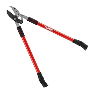 Tabor Tools GG12E Amboss Astschere