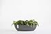 Produktbild Ashortwalk ECOPOTS Pflanzkübel Sofia lang aus recyceltem Kunststoff (Länge 56cm x Breite 14cm x Höhe 16cm) (grau)