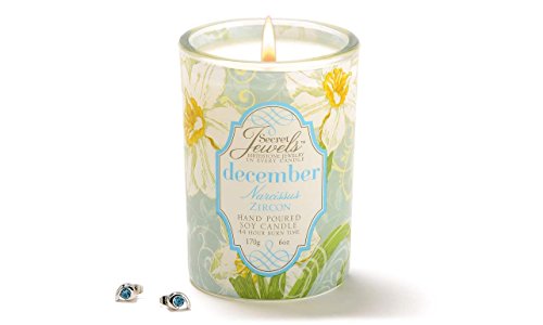Secret Jewels December Birthstone 6 Oz. Candle Jar, Narcissus Scent, Zircon