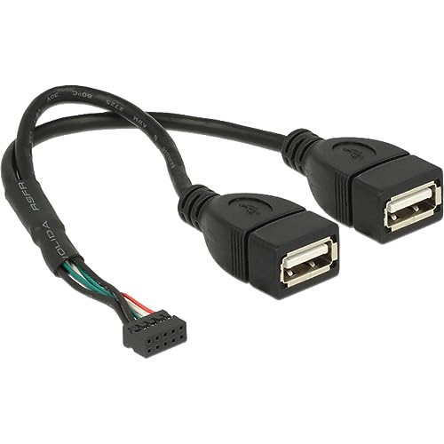Delock 84933 Cable CONECTOR PLACA Base USB 2.0 10 PIN - 2 X USB 2.0 TIPO A HEMBRA DE 20 cm
