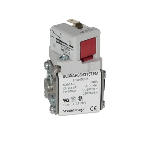 Fusible SC30AR69V080TIM H1046990 de haute précision pour circuits sensibles - 5