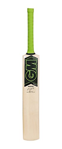 GM Paragon Maestro Kashmir Willow Cricket Bat, Short Handle