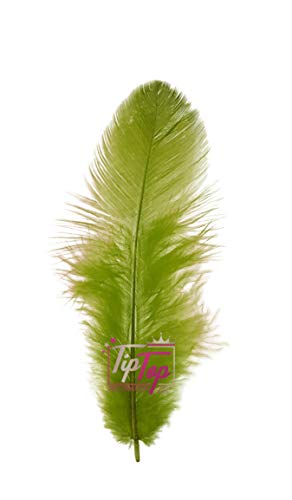 Image of TIPTOP DECORATION Natural Dyed Feathers 10 cm (80 pieces) (Mehndi Green)