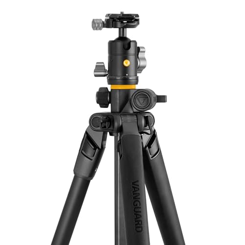 Image of Vanguard Alta Pro 2+ 263AB G2 Camera Tripod with CNC-Machined Arca-Compatible BH-60 Ball Head and Multi-Angle Center Column for Horizonal, Overhead and Low-Angle Photography