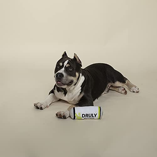 Juguete para perro Plush Druly Lickin' Lime pack de 2 miniatura 2