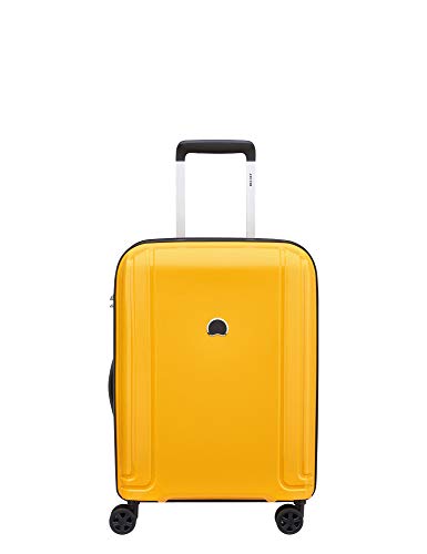 Delsey Visa Paris