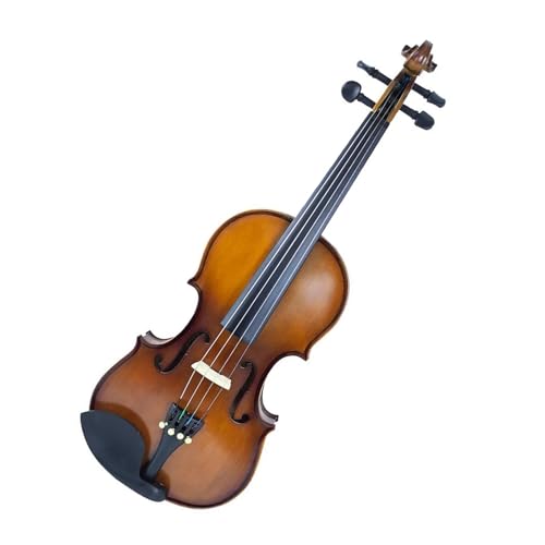 Violon 4/4 en érable et épicéa avec étui rigide pour musicien
