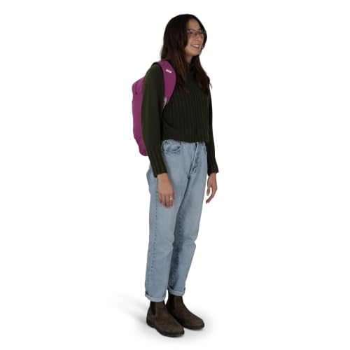 Image of Osprey Arcane Large Day Shiso Purple Heather OS