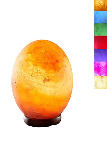 PLUS HOME Lámpara de Sal del Himalaya Natural Lamparitas Multiforma de Sal USB Con Luz de Colores