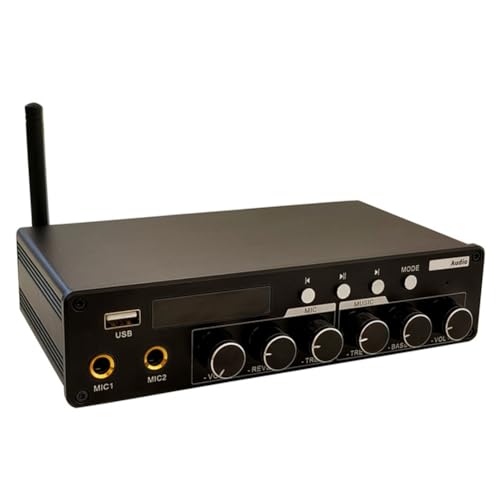 Amplificateur audio Bluetooth AS200 pour animer vos soirées karaoké KTV à la maison
