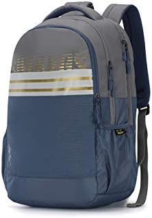 Skybags Herios 02 27 Ltrs Grey Laptop 