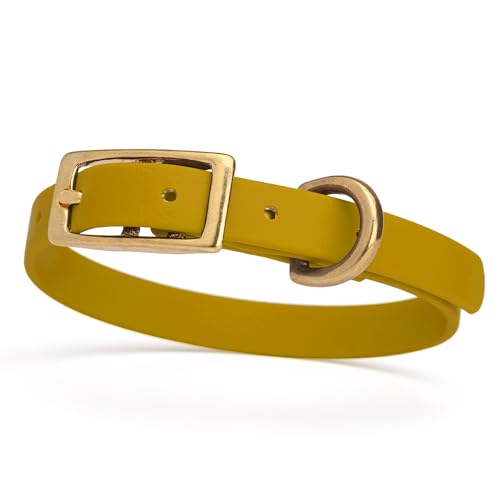 Image of Viper Biothane Heavy Duty Waterproof Dog Collar Strong Coated Nylon Webbing w /Solid Brass Hardware Odor-Proof for Easy Care to Clean High Performance Fits Small Medium or Large Dogs, Treasure Gold