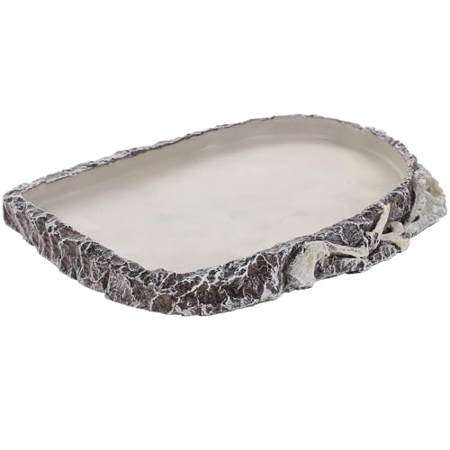 QUMIIRITY ঒��ސ��M ���������v���t�[�h�{�E�� ���^�g�J�Q �w�r �J���Ή� ���p�I�� �ȉa ���e�� �e�����E���p�������p