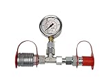 manometro de glicerina 250 bar  Teststecker Probador Hidráulico 250 Bar con enchufe y Acoplador, Enchufe hidráulico Testgeraet Calibrador de presión Probador de la presión