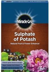 JDS Hardware Miracle Gro Sulphate Of Potash 1. 5kg