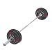 wuuhoo® Set de Barra y Platos olímpicos Rick - 85kg en Total, Barra de 220cm Incl. Pesas de 65 KG, Barra con Peso Propio de 20 KG - Diseño 2 sin Soporte