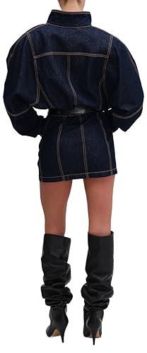 Ronny Kobo Women's Maddix Denim Mini Dress2