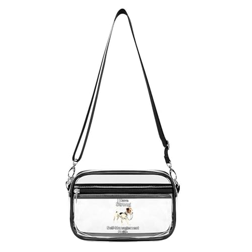 Self-management Skills Clear Stadium Bag Clear Mini Messenger Bags with 2 Compartments Crossbody Bag