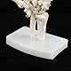 Skelett-Handmodell, Menschliches Handgelenk, Medizinisches Anatomisches, Studie, Skelettmodell