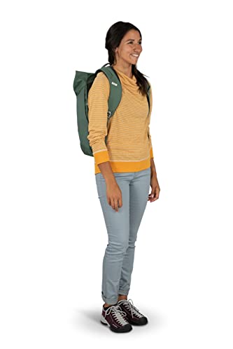 Image of Osprey Arcane Roll Top Commuter Backpack, Allium Red /Brindle Brown