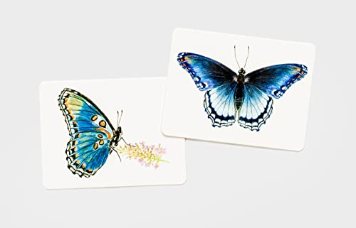 Butterfly Wings: A Matching Game - Image 6