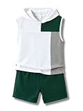 LKALPSQ Boys Clothes Shorts Sets Color Block Short and Sleeveless Hooded Shirt and Pockets Shorts Casual Summer Clothes Set Boys Sets Size 13-14Y
