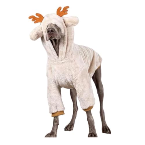 NX}X ybg RX`[ ybgpi L gRXv   ۉ JWA ӂӂ _炩 ϐg  ^ ^ ItzCg (L)