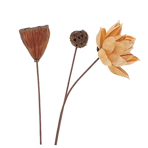 Arreglo de flor de loto seca para decoración zen miniatura 4