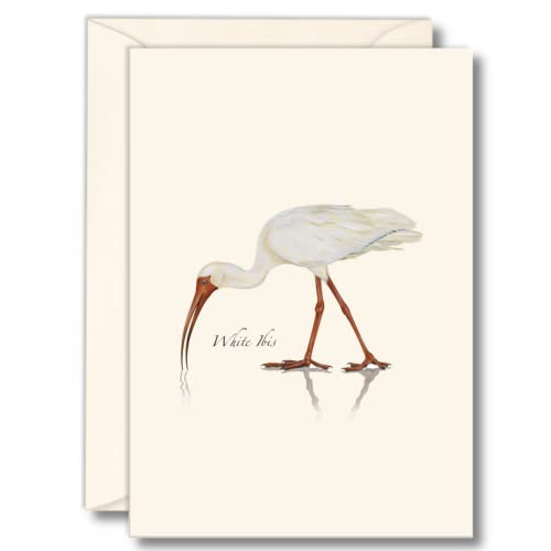 Image of Earth Sky + Water - White Ibis Notecard Set - 8 Blank Cards with Envelopes