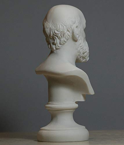 Busto de Sócrates en Alabastro 15 cm miniatura 4