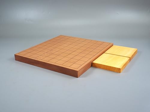 yAM198z j ؗ ㏫ {Ћt