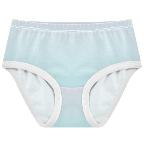 Joisal Magnolia Pale Turquoise Gradient Girl Panties Cute Toddler Girls Underwear Cotton Designer Kids Undies Briefs 2t