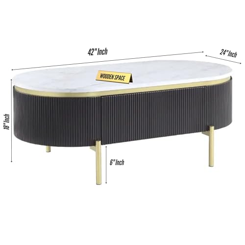 Image of WOODEN SPACE Premium Marble-Top Center Table with Iron Legs | PVD Coated Modern Coffee Table for Living Room & Entryway | 42x24x18 Inches (Black)