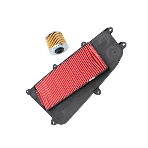 Filtre à air contre la perte de puissance Grand Dink 125