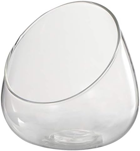 Angoily Clear Glass Vase Glass Slant Cut Bubble Bowl, Clear Glass Terrarium Bowl Globe Planter Candy Dish Fruit Jar, Glass Succulent Bowl Round Flowe Vase for Home Office Decorations Terrarium Jar