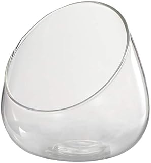 Angoily Clear Glass Vase Glass Slant Cut Bubble Bowl, Clear Glass Terrarium Bowl Globe Planter Candy Dish Fruit Jar, Glass Succulent Bowl Round Flowe Vase for Home Office Decorations Terrarium Jar