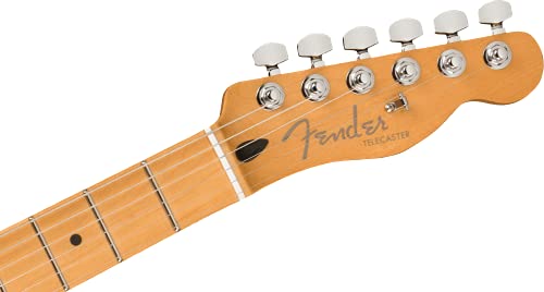 Player Plus Telecaster MN 3-Color Sunburst - Les Beatles, Paul McCartney, John Lennon, RIngo Starr, George Harrison Player Plus Telecaster MN 3-Color Sunburst – Image 6
