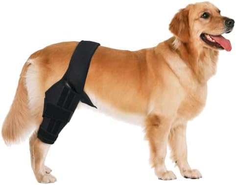 Rodillera para perro para lesiones de ligamento cruzado anterior y ligamento  Soporte ajustable para la pierna trasera y envoltura de compresión disponible en Yaxa Colombia