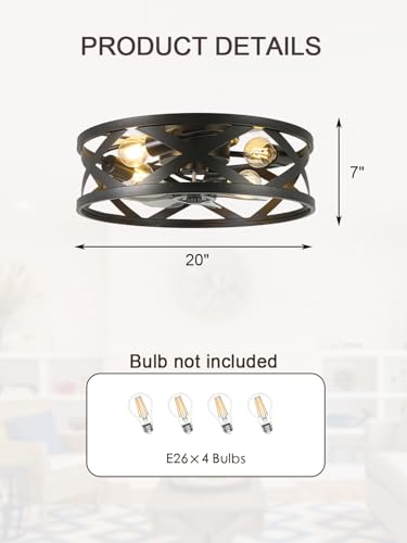 Image of 20 Inch Caged Ceiling Fan Light with Remote, Black Flush Mount Bladeless