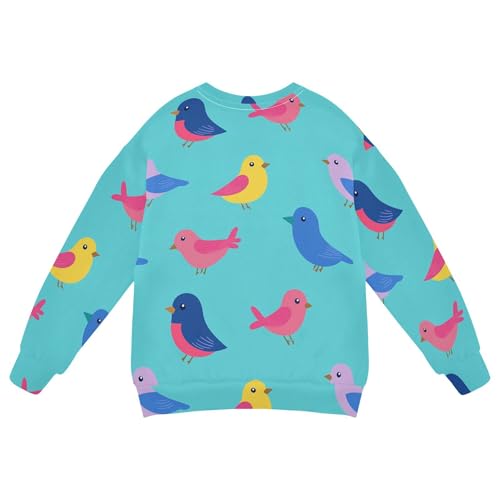 JUNZAN Cute Cartoon Birds Blue Little Boys Hoodie Sweatshirt Fleece Sweatshirts for Boys Party 4T2
