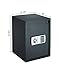 Personal Digital Safe Box - Compact Steel Home Safety Container for Money, Documents, and Jewelry with 2 Manual Override Keys by Paragon Safes (Gray)