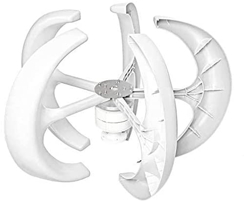 Turbine éolienne verticale 8000W à freinage électromagnétique et moteur 5 lames