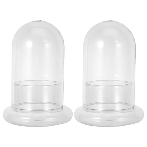 2pcs Garden Cloche Plant Dome,Micro Landscape Bottle,Clear Glass Bell Jar,Air Plant Planters Floral Container,Decorative Dome Cover Stand for Small Plants Curios