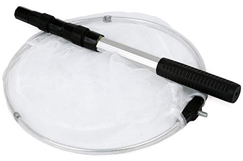 (حلقة 30 سم، مقبض 90 سم) - شبكة فراشة ريستكلاود مع حلقة 30 سم، مقبض يمتد إلى 90 سم