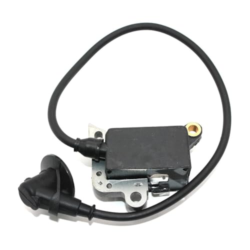 Bobine d'allumage pour TS400 résout les problèmes de démarrage difficile 4223 400 1300 - 4