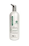 Iden Bee Propolis Treatment Hair Mask, For Damaged Hair, Fortifies Weakened Hair, Deep Hydration, 32