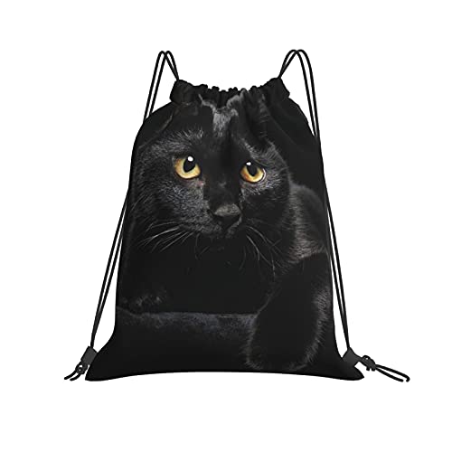 VBTDEGAB L L WTbN ibvTbN WobO В [obO[ oR X|[cobO h y e  s j AEghA ЂL X fB[X